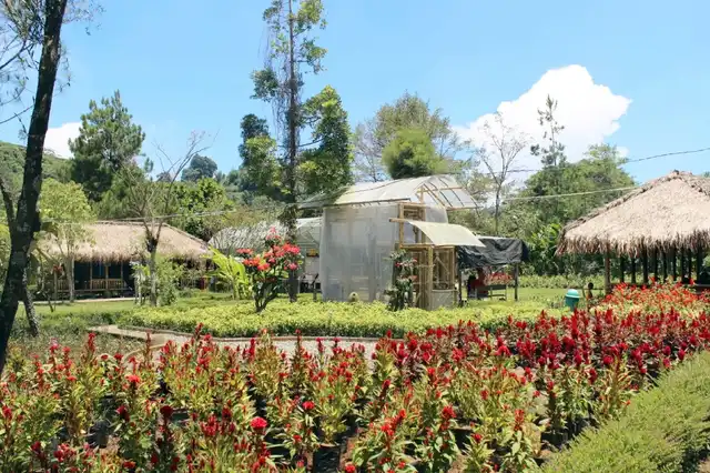 tempat wisata anak - Jendela Alam